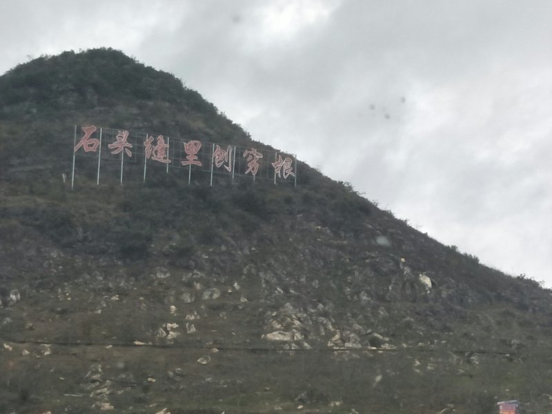 云南长在石头缝里的丑苹果