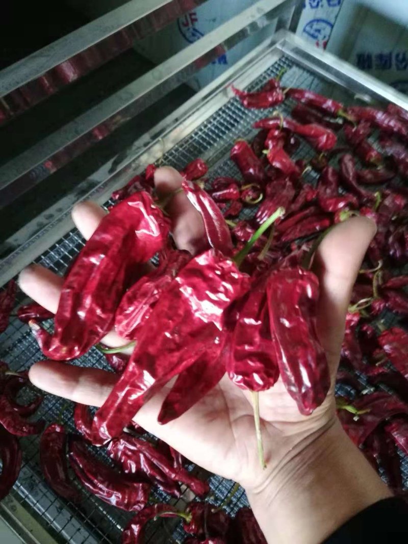 蓝天辣椒烘干机鲜辣椒烘干机红辣椒烘干机干辣椒烘干机