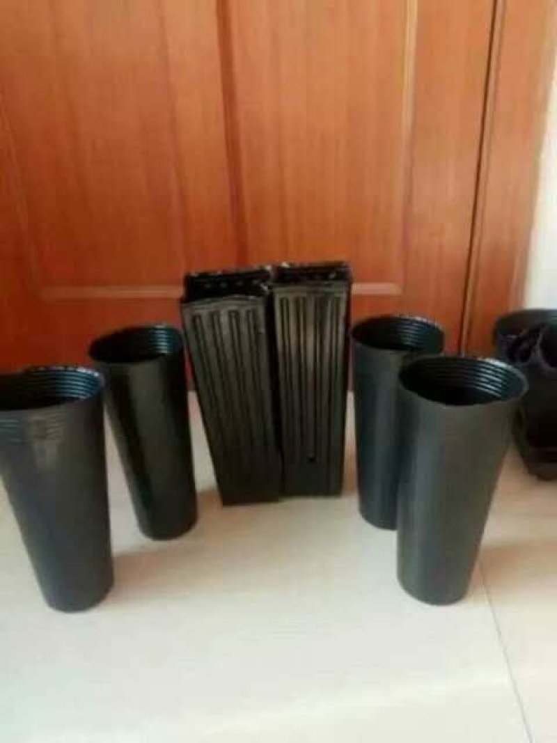 塑料营养杯育苗杯营养钵大小规格齐全育苗袋营养袋