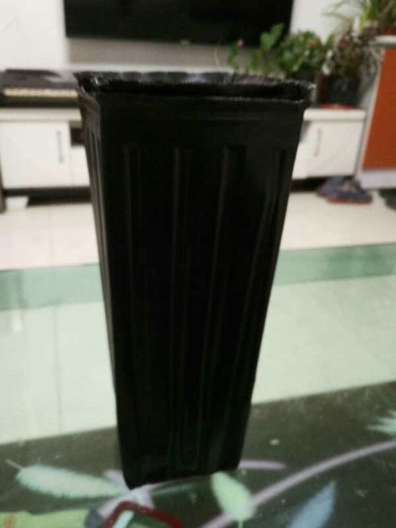 塑料营养杯育苗杯营养钵大小规格齐全育苗袋营养袋