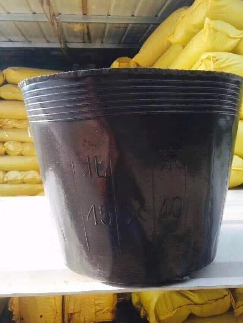 塑料营养杯育苗杯营养钵大小规格齐全育苗袋营养袋