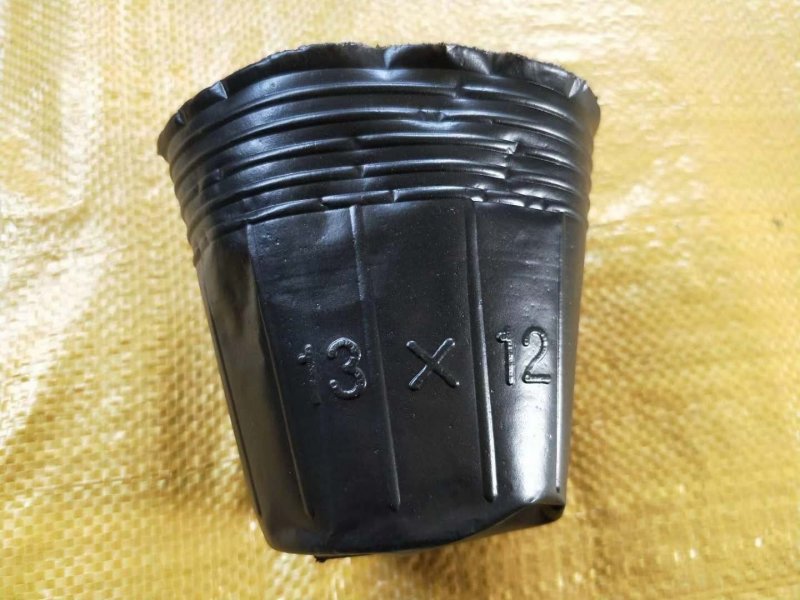 塑料营养杯育苗杯营养钵大小规格齐全育苗袋营养袋