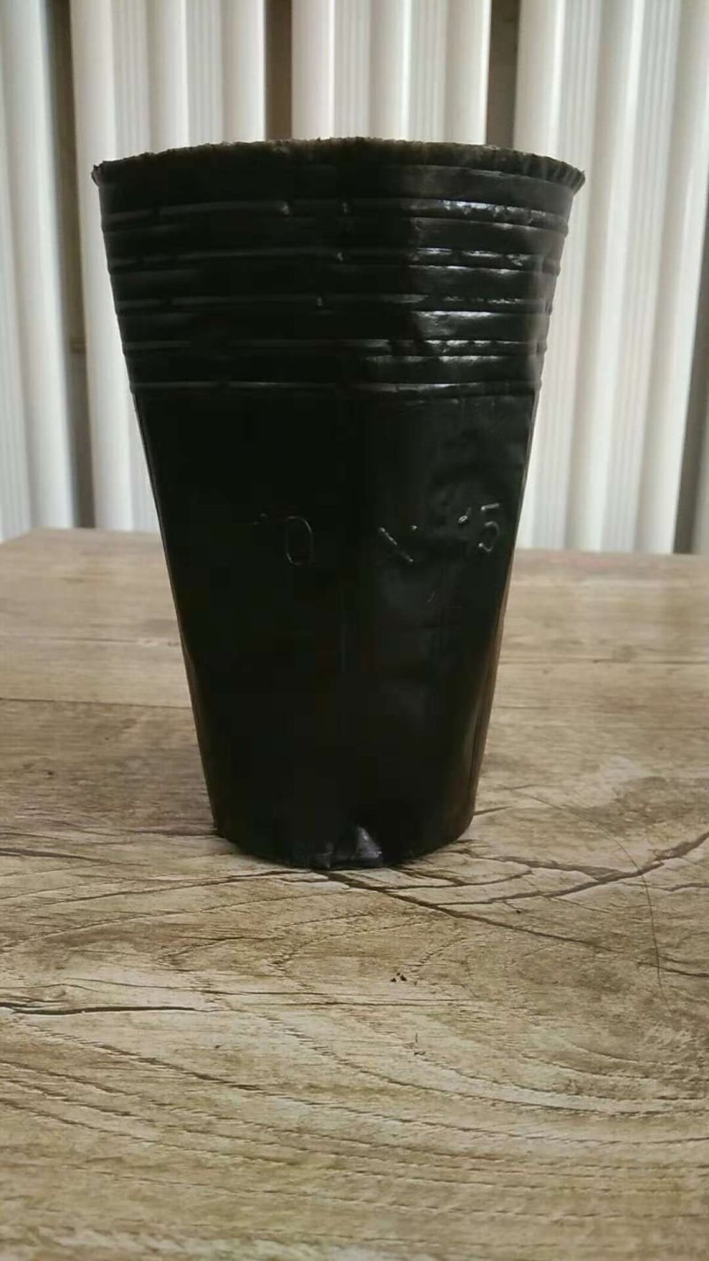 塑料营养杯育苗杯营养钵大小规格齐全育苗袋营养袋