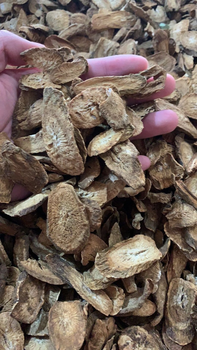 牛蒡茶
