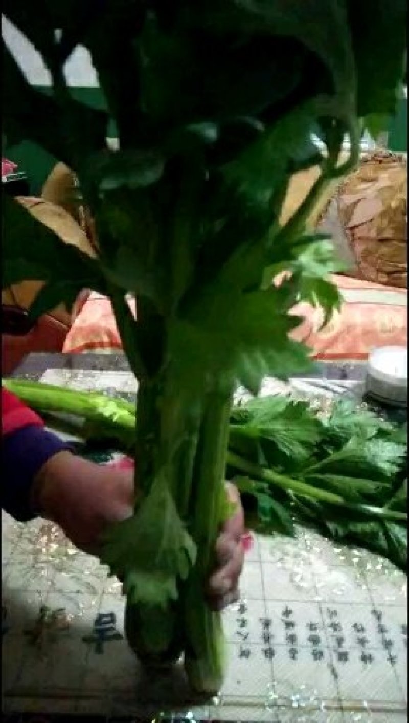 芹菜