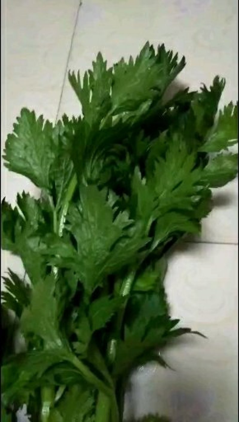 芹菜