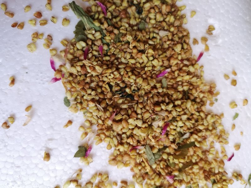 荞麦茶防三高荞麦茶云南高山荞麦茶