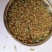 荞麦茶防三高荞麦茶云南高山荞麦茶