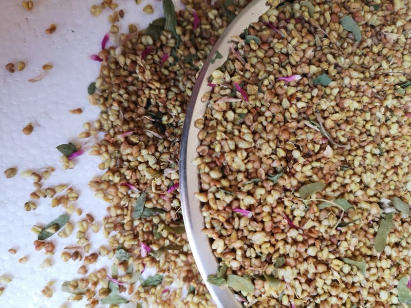 荞麦茶防三高荞麦茶云南高山荞麦茶