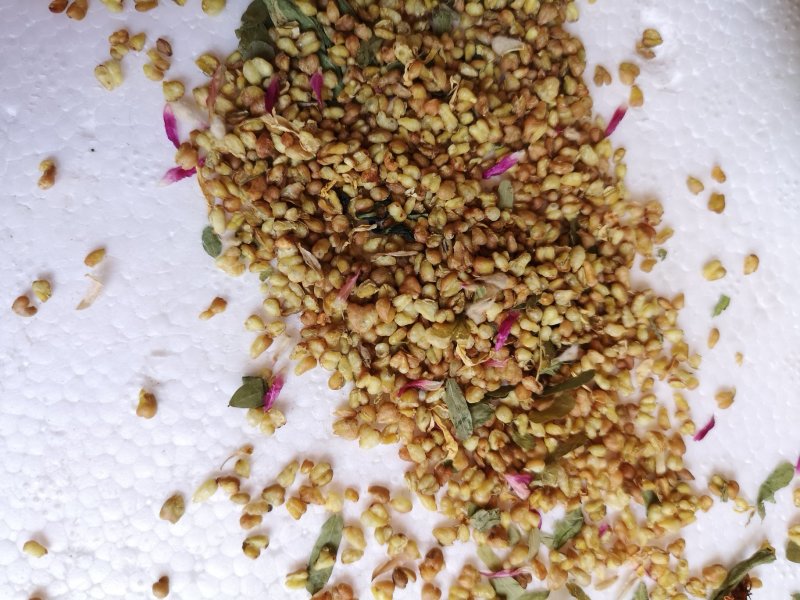 荞麦茶防三高荞麦茶云南高山荞麦茶