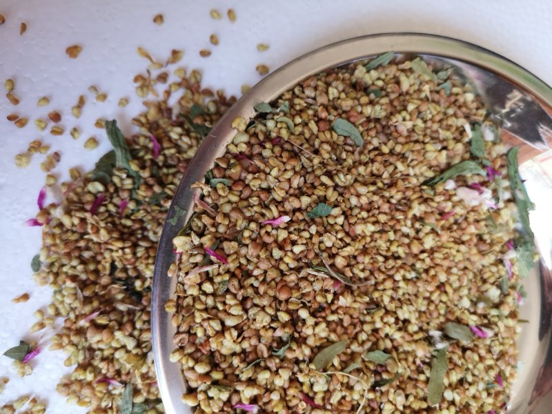 荞麦茶防三高荞麦茶云南高山荞麦茶