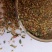 荞麦茶防三高荞麦茶云南高山荞麦茶