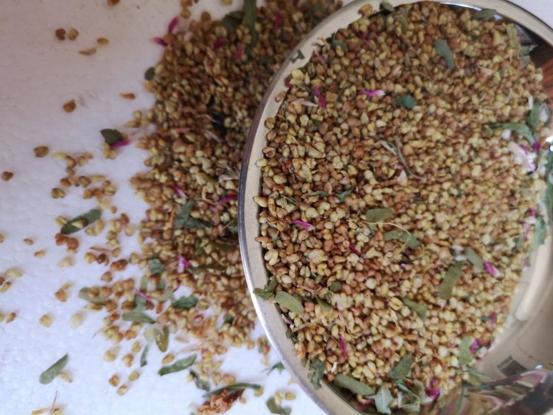 荞麦茶防三高荞麦茶云南高山荞麦茶