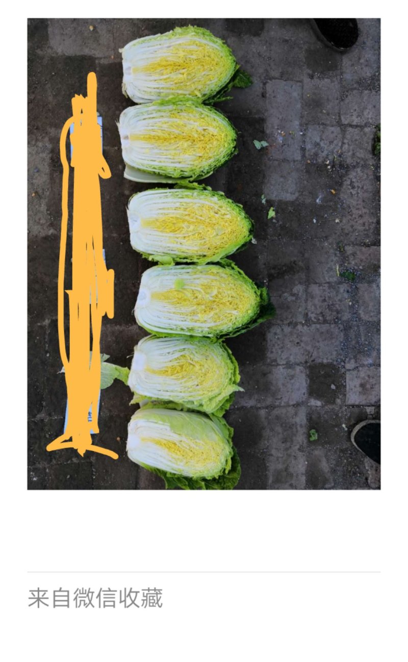 蔬菜