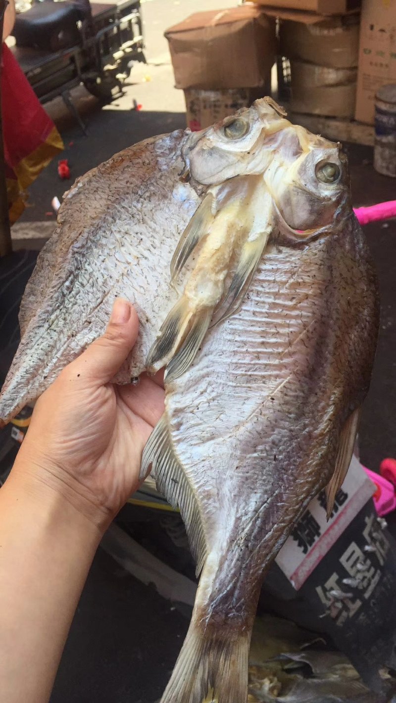 风味武昌鱼鳊鱼干