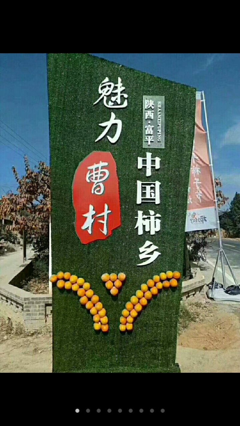 富平柿饼