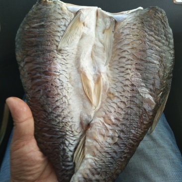 草鱼干洪湖腌制腊鱼干