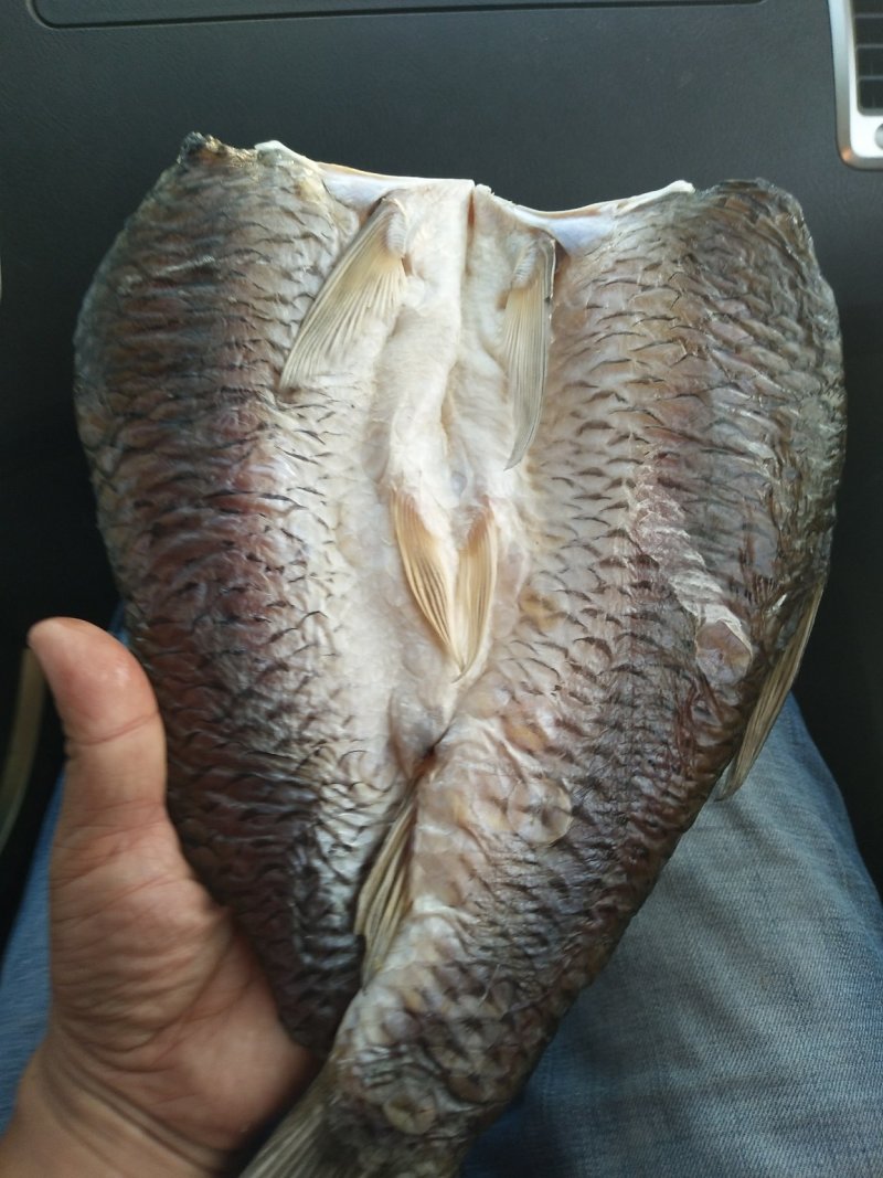 草鱼干洪湖腌制腊鱼干