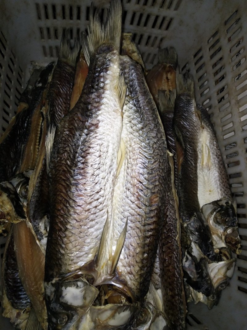 草鱼干洪湖腌制腊鱼干