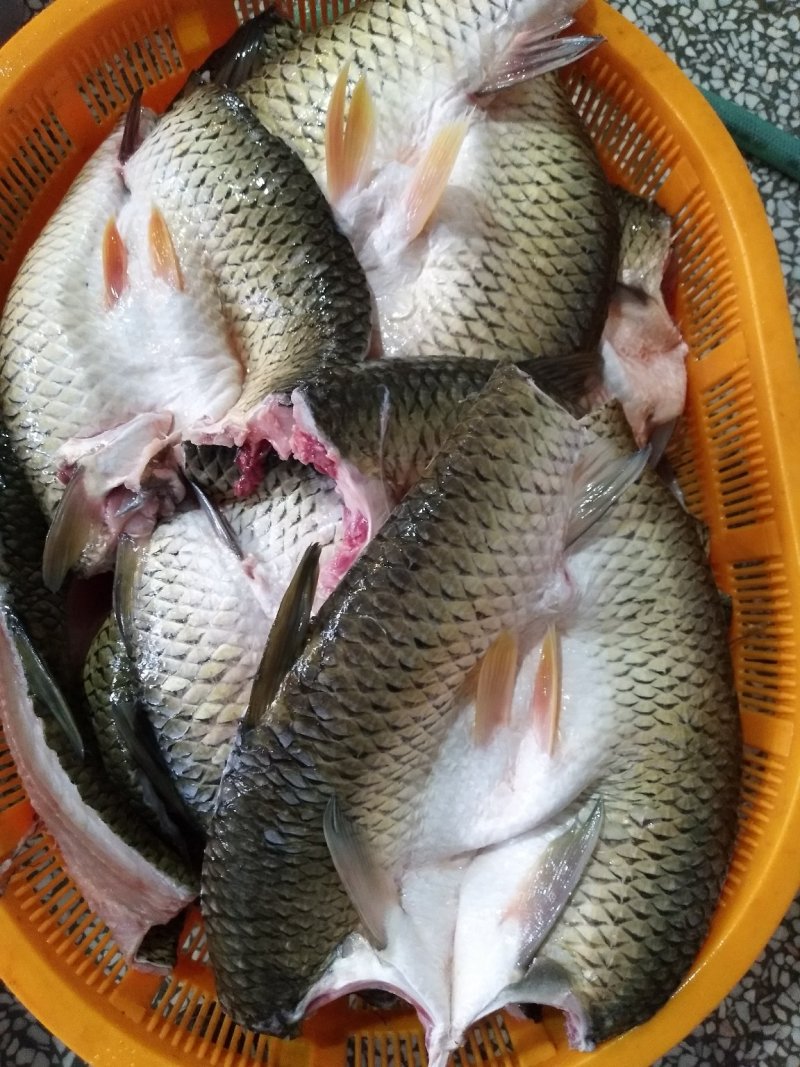 草鱼干洪湖腌制腊鱼干