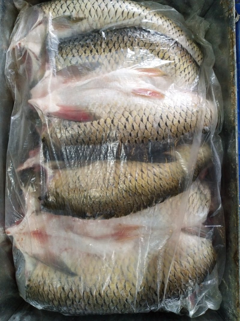 草鱼干洪湖腌制腊鱼干