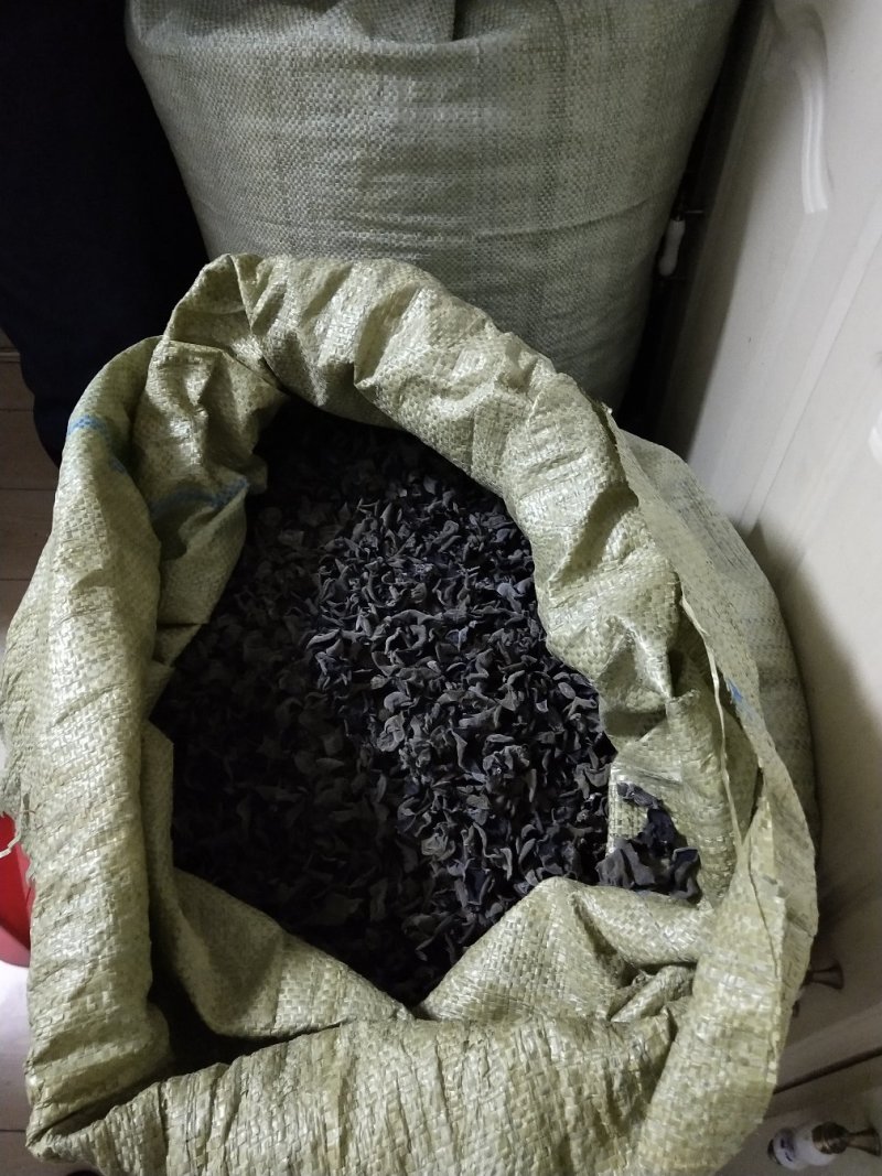 黑木耳大筋菜一级东北秋耳