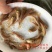 金大头鱼苗金鳙鱼苗
