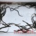 鳗鱼苗