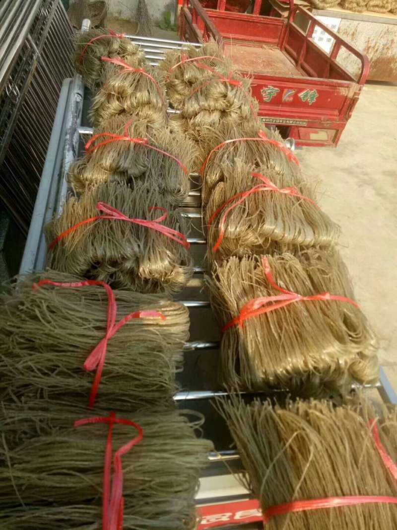 红薯粉丝