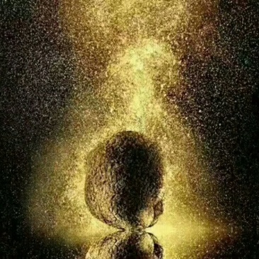 野生黑松露