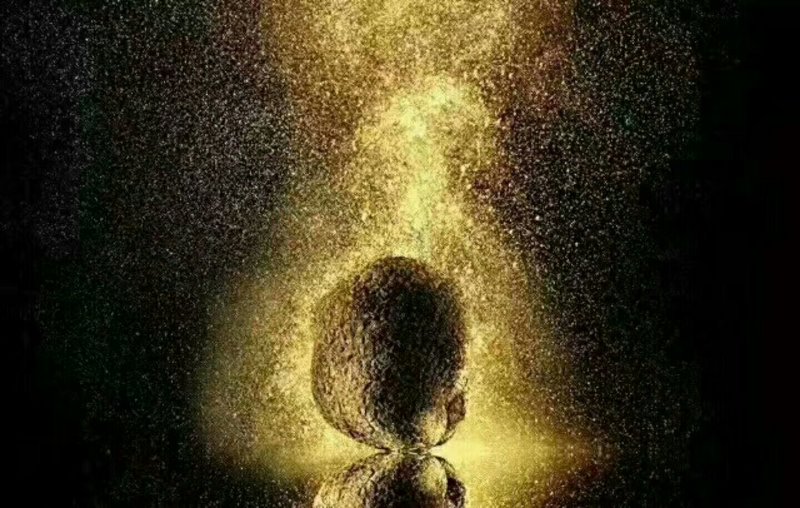 野生黑松露