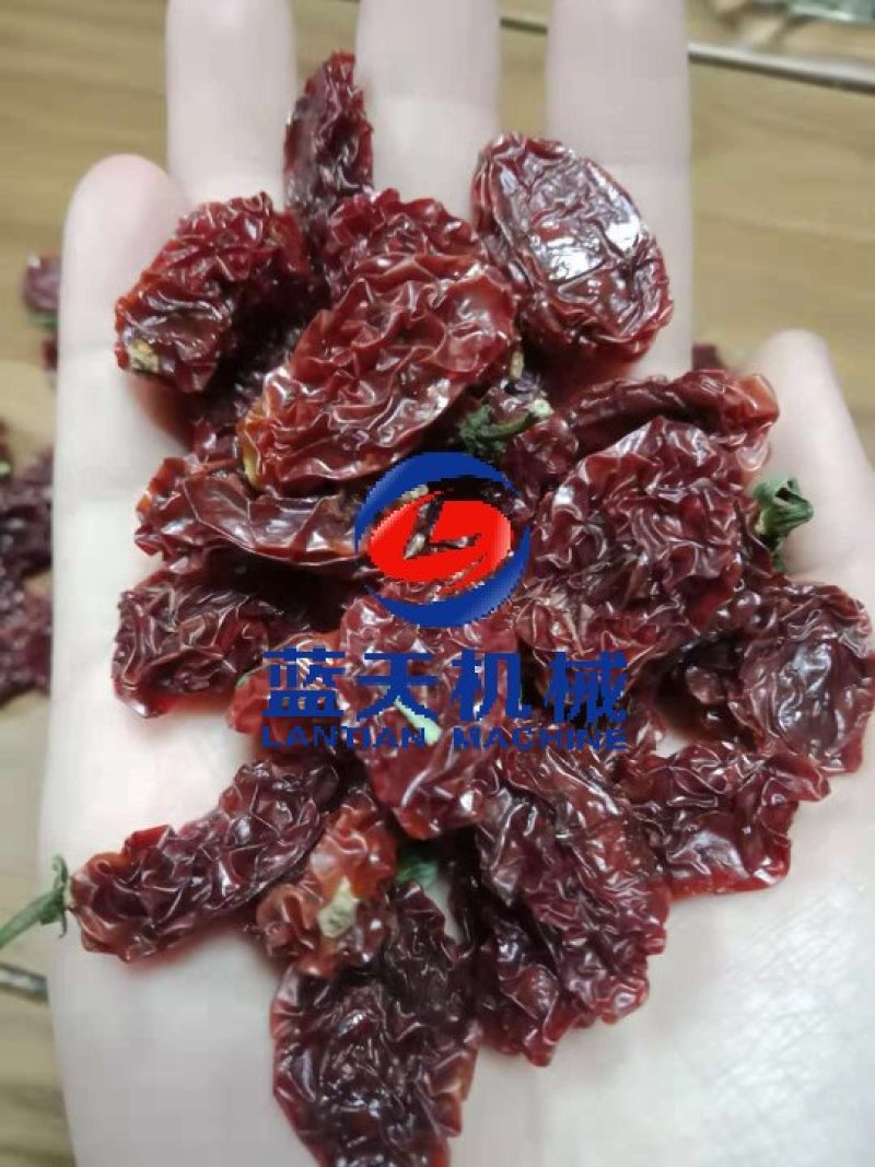 蓝天圣女果烘干机小番茄烘干机西红柿烘干机樱桃烘干机