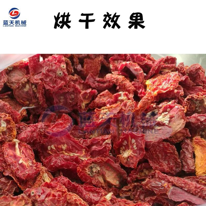 蓝天圣女果烘干机小番茄烘干机西红柿烘干机樱桃烘干机