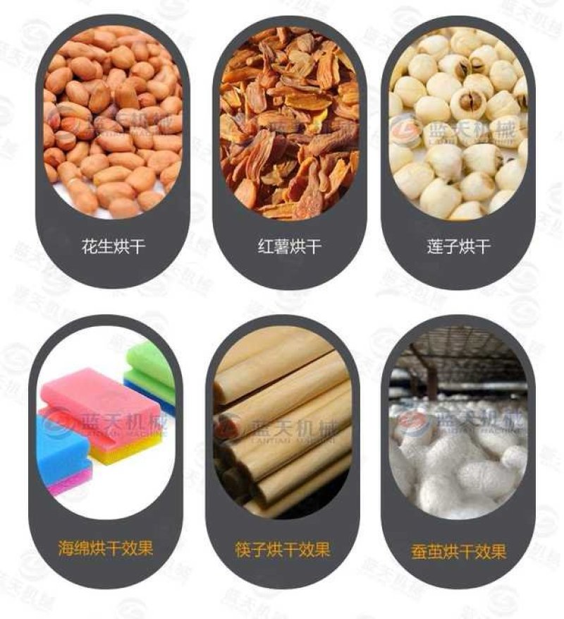 蓝天圣女果烘干机小番茄烘干机西红柿烘干机樱桃烘干机