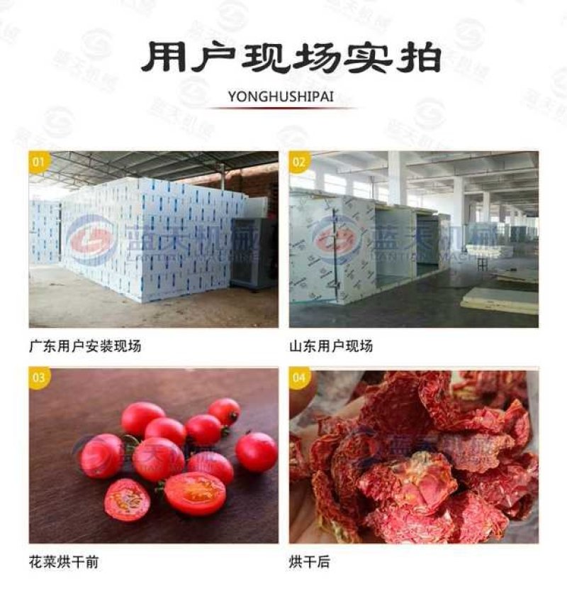 蓝天圣女果烘干机小番茄烘干机西红柿烘干机樱桃烘干机