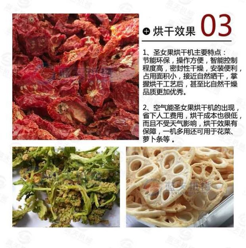 蓝天圣女果烘干机小番茄烘干机西红柿烘干机樱桃烘干机