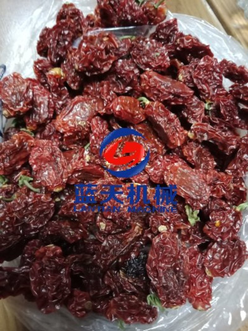 蓝天圣女果烘干机小番茄烘干机西红柿烘干机樱桃烘干机