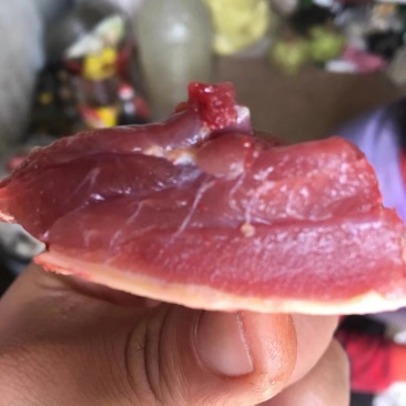 散养笨鸡