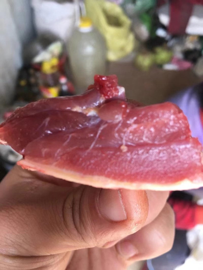 散养笨鸡