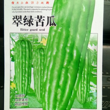 青苦瓜种子苦瓜种子（翠绿苦瓜）