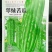 青苦瓜种子苦瓜种子（翠绿苦瓜）