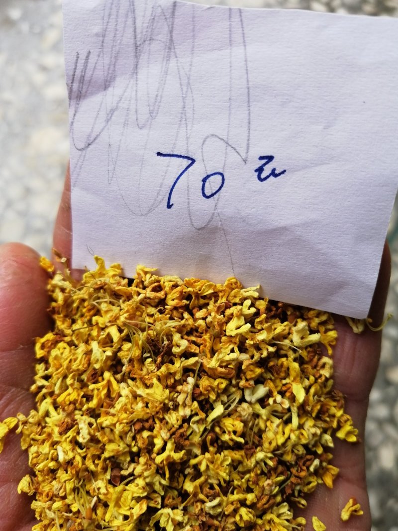 干桂花供应