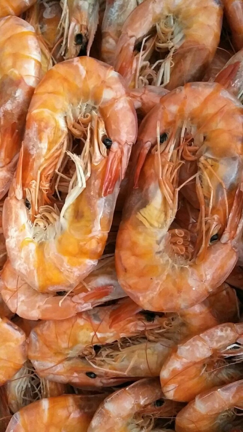 海产干货