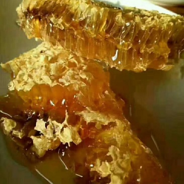 大凉山野生土蜂蜜天然蜂蜜店家自产农家散养百花蜂蜜结晶1斤