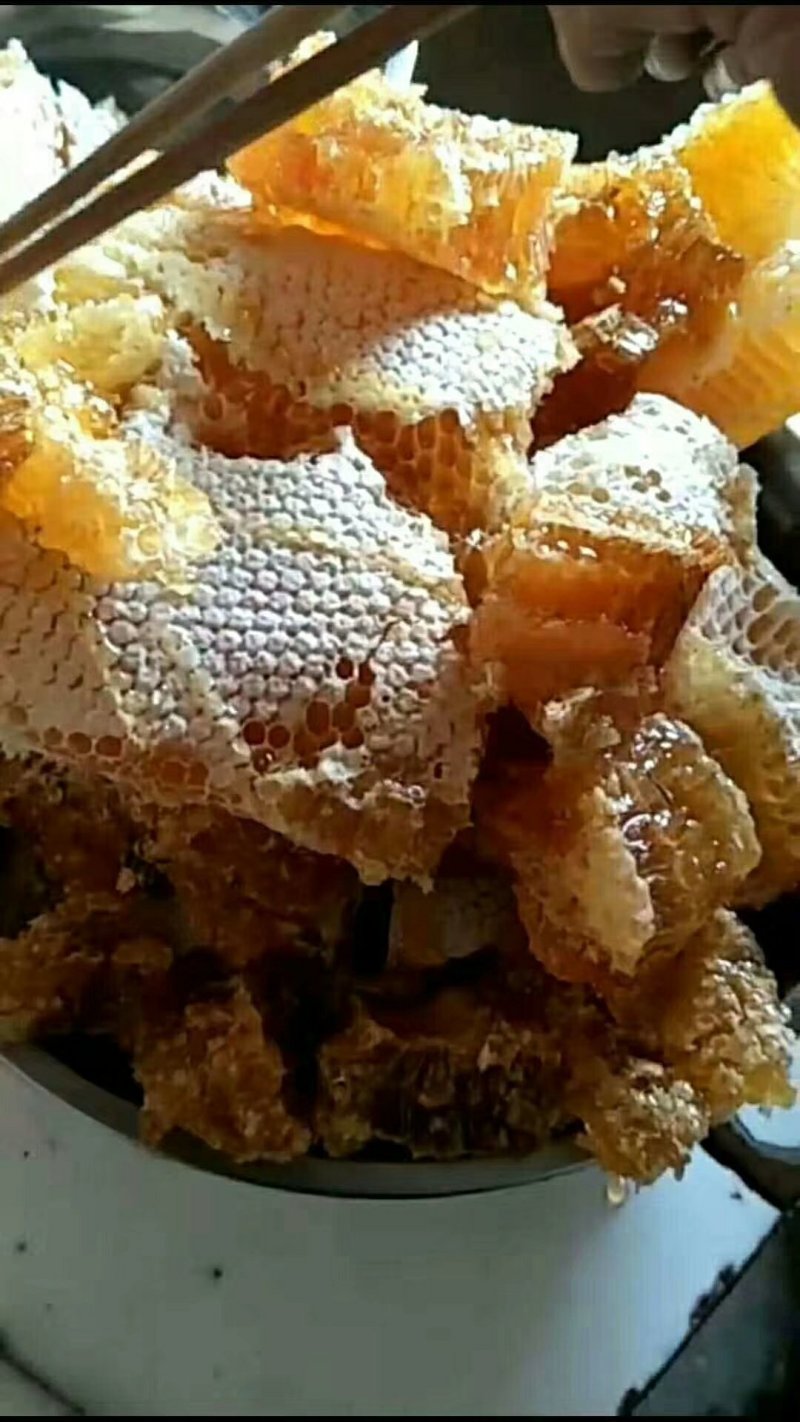 大凉山野生土蜂蜜天然蜂蜜店家自产农家散养百花蜂蜜结晶1斤
