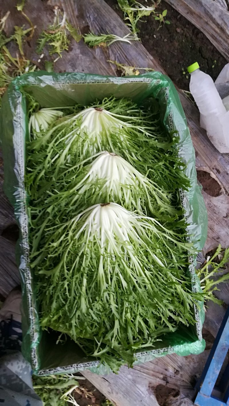 各个都是精品