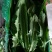 精品油麦菜