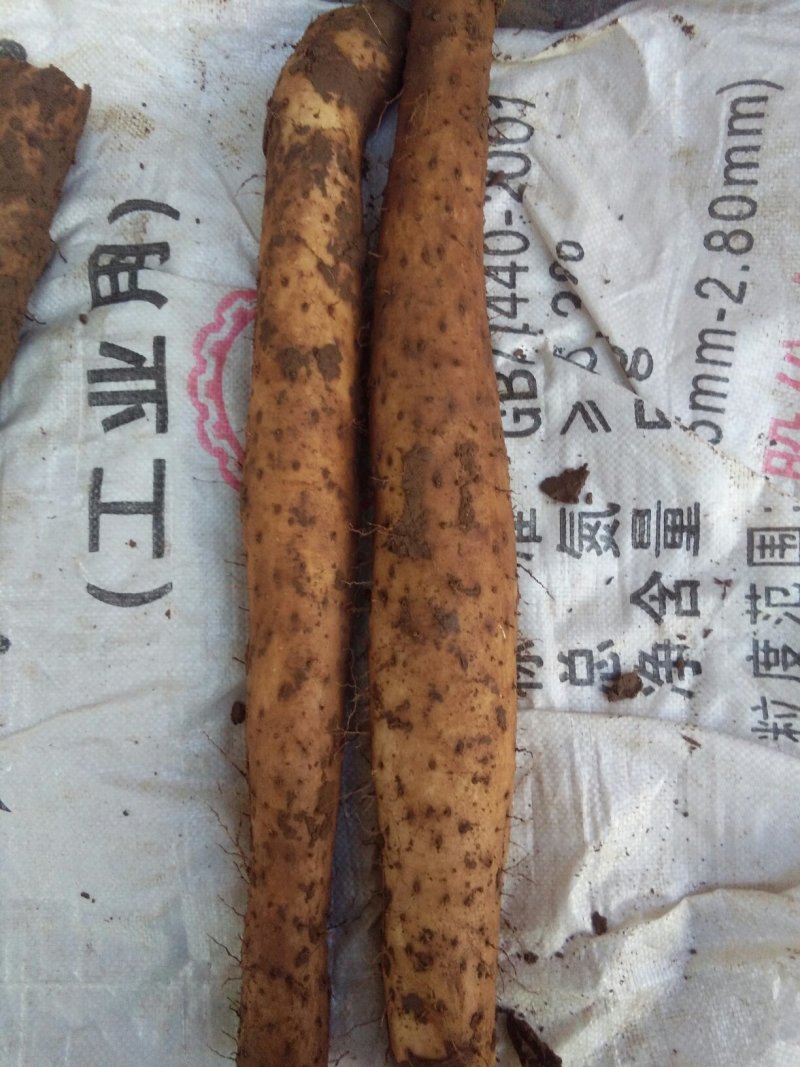 山药