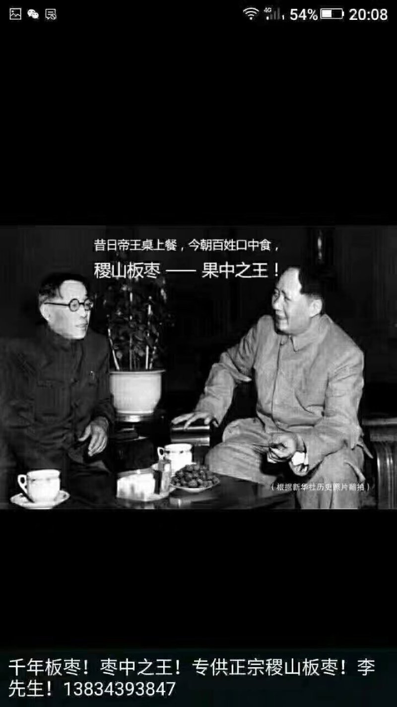 名枣之首稷山板枣