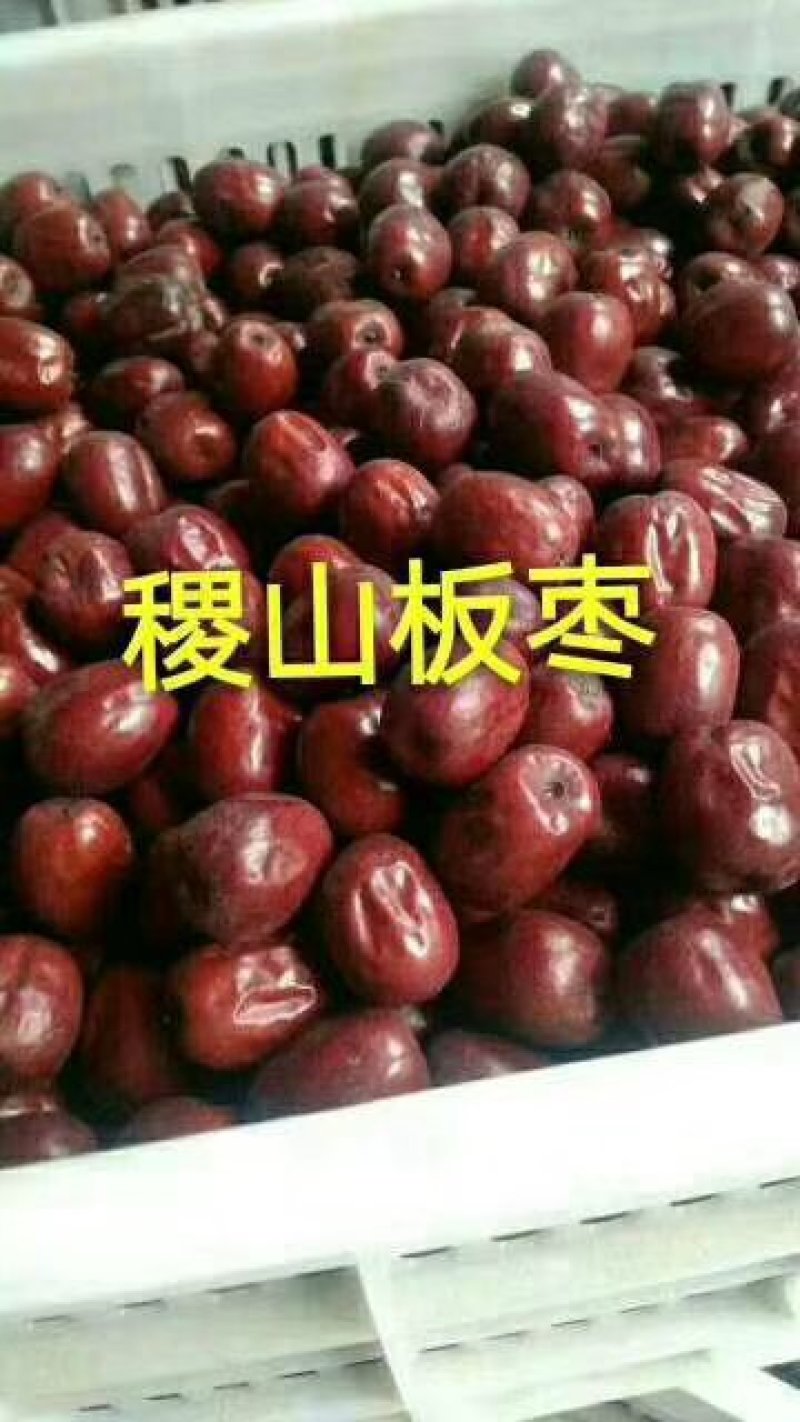 名枣之首稷山板枣